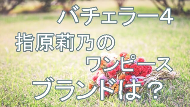 バチェラー4 指原莉乃のワンピース衣装が購入できるお店は 通販も スーパーおばあちゃん